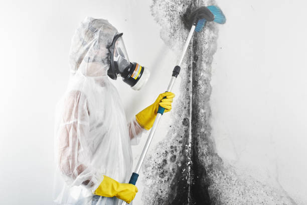 Best HVAC Mold Inspection and Cleaning  in Star City, WV