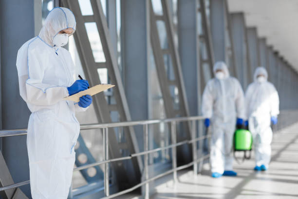 Professional Mold Removal in Star City, WV