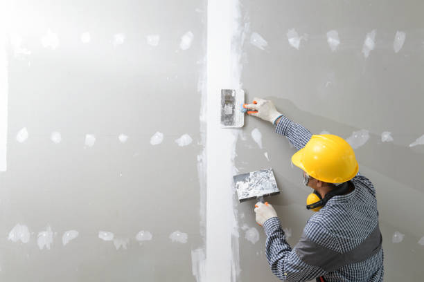 Best Forensic Mold Investigation  in Star City, WV