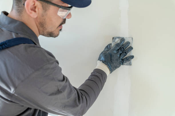 Best Black Mold Removal  in Star City, WV