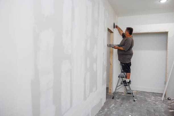 Best Industrial Mold Remediation  in Star City, WV