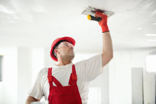 Best Mold Remediation for Healthcare Facilities  in Star City, WV