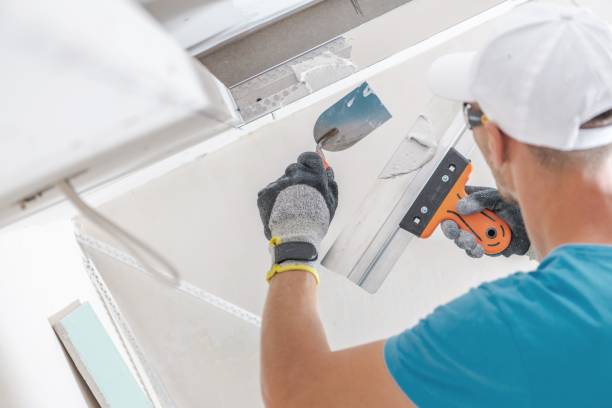 Best Mold Documentation for Insurance Claims  in Star City, WV
